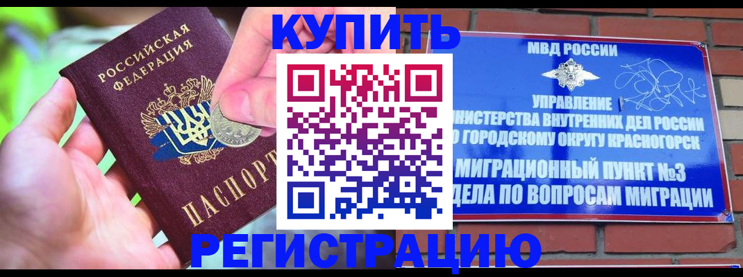 прописка законно в Королёве